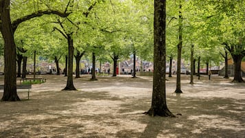 Un parque con árboles, bancos y un sendero.