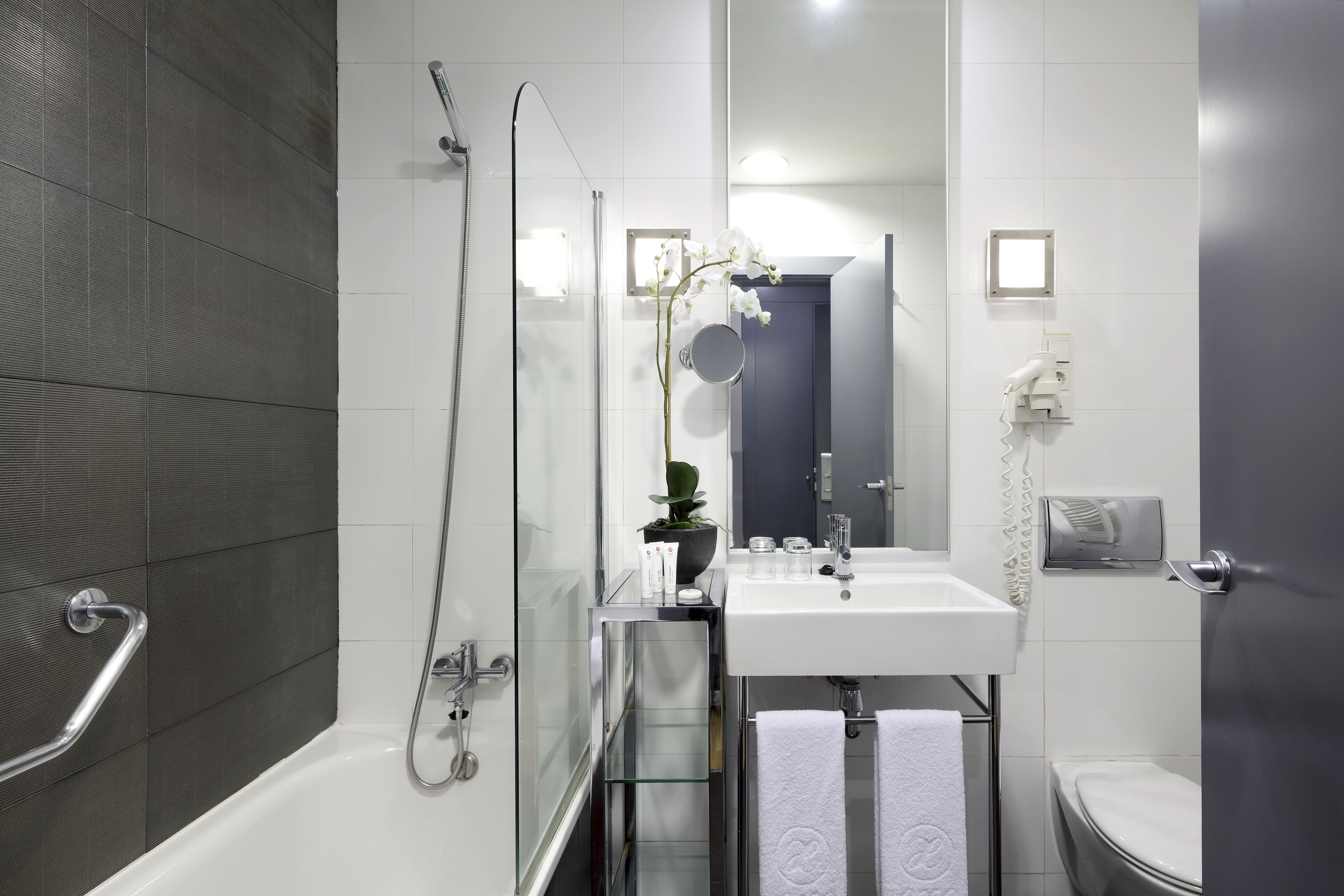 combined shower/bathtub, eco-friendly toiletries, hair dryer, bidet