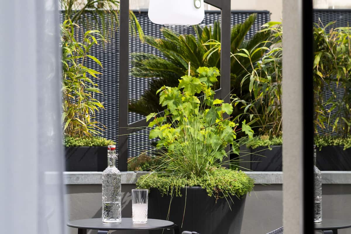 junior suite, terrace, pool view | 1 bedroom, down duvets, minibar, desk