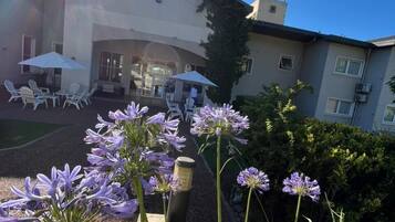 المنطقة المحيطة بالمنشأة