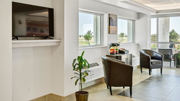 Een moderne woonkamer met een flatscreen televisie, grote ramen, een potplant en een zithoek met lederen fauteuils.