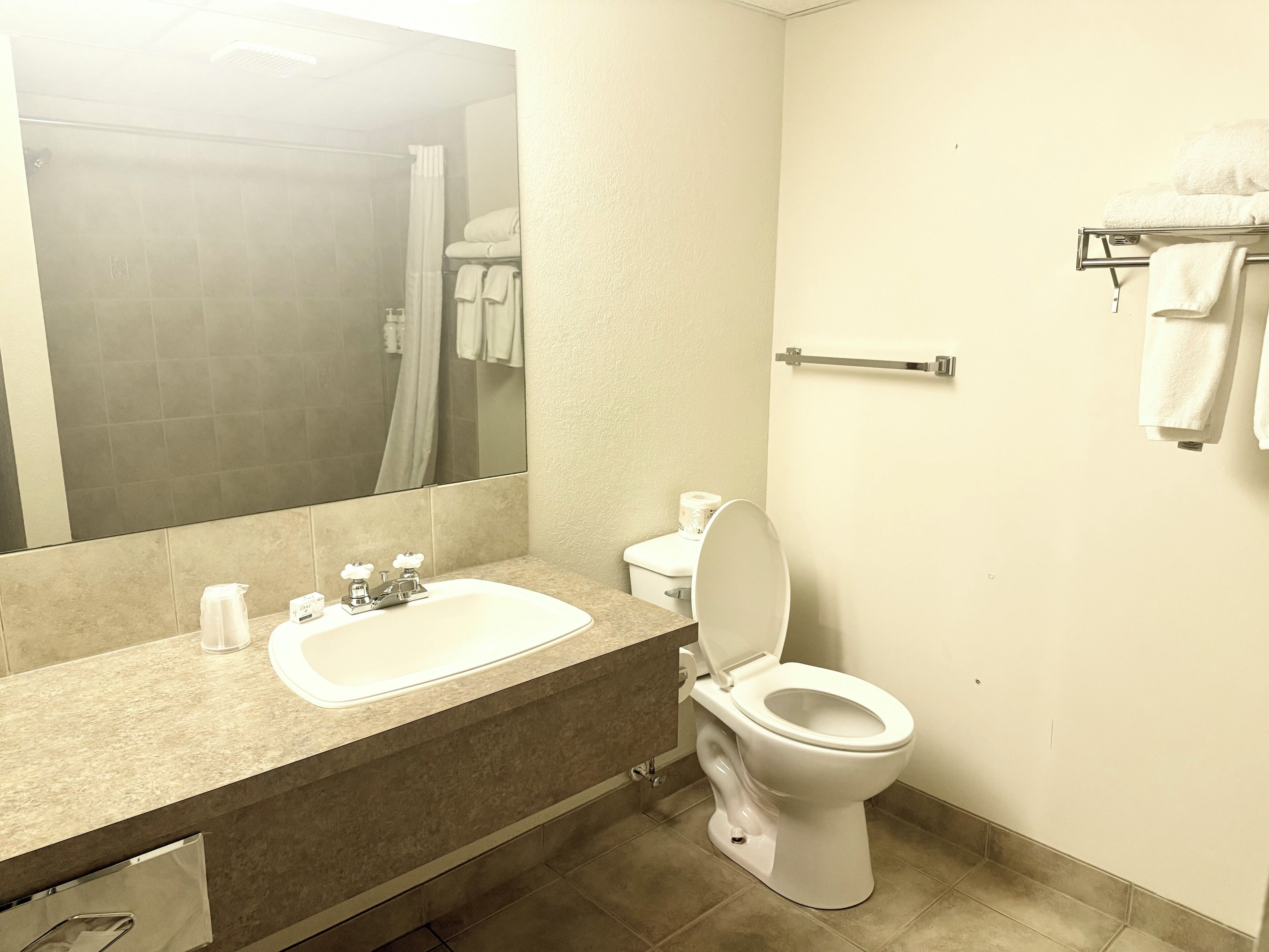 A bathroom with a sink, toilet, and a mirror.
