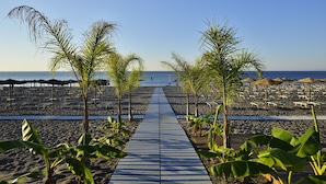 A beach pathway lined with palm trees leading to beach umbrellas and lounge chairs.