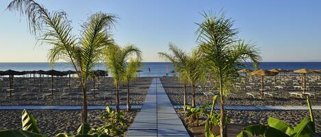 A beach pathway lined with palm trees leading to beach umbrellas and lounge chairs.