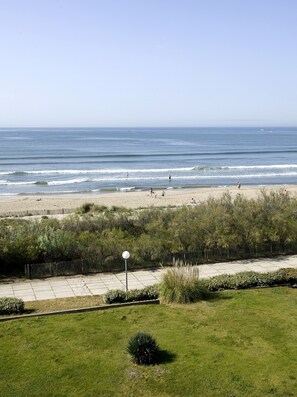 Vista desde la propiedad