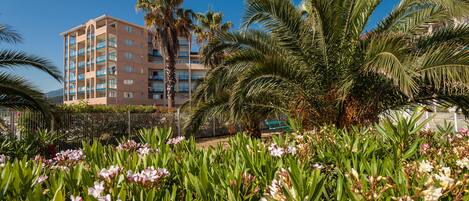 A multi-story hotel with balconies, surrounded by lush greenery and palm trees.