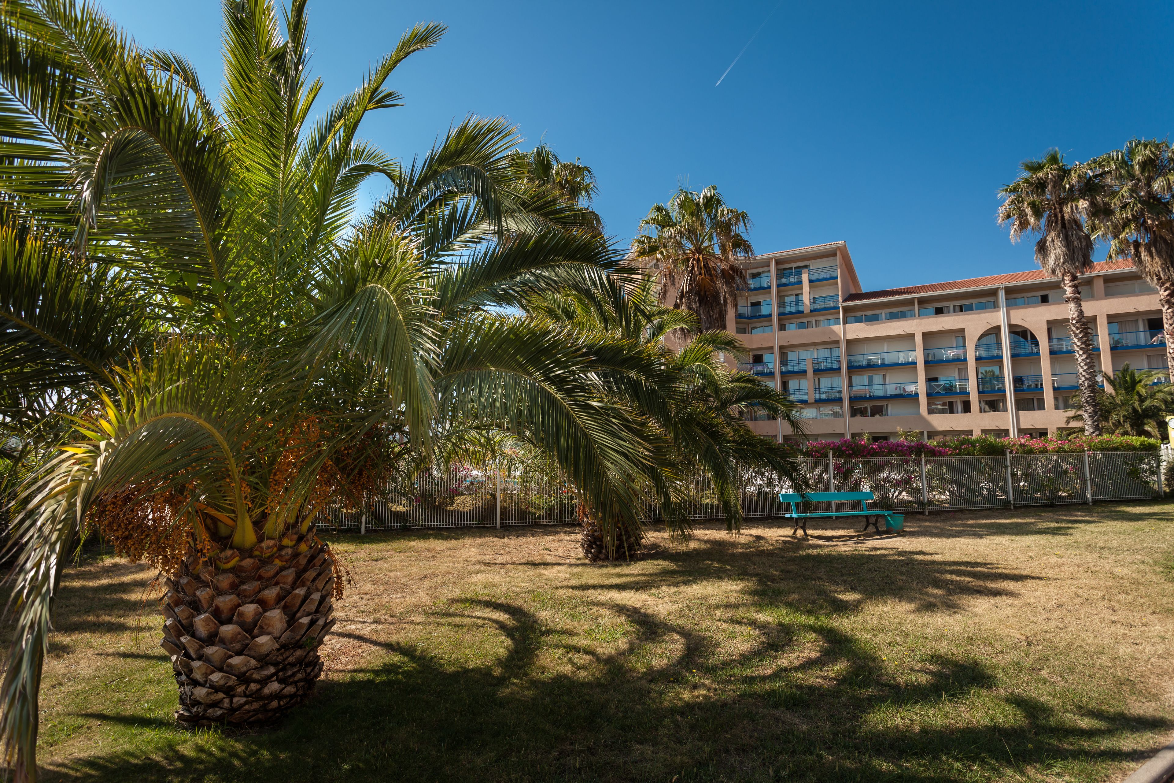 Un hotel con una palmera grande al frente, un área verde y un edificio con múltiples balcones y ventanas.