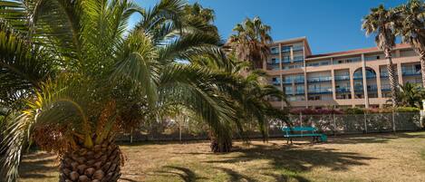 Un hotel con una palmera grande al frente, un área verde y un edificio con múltiples balcones y ventanas.