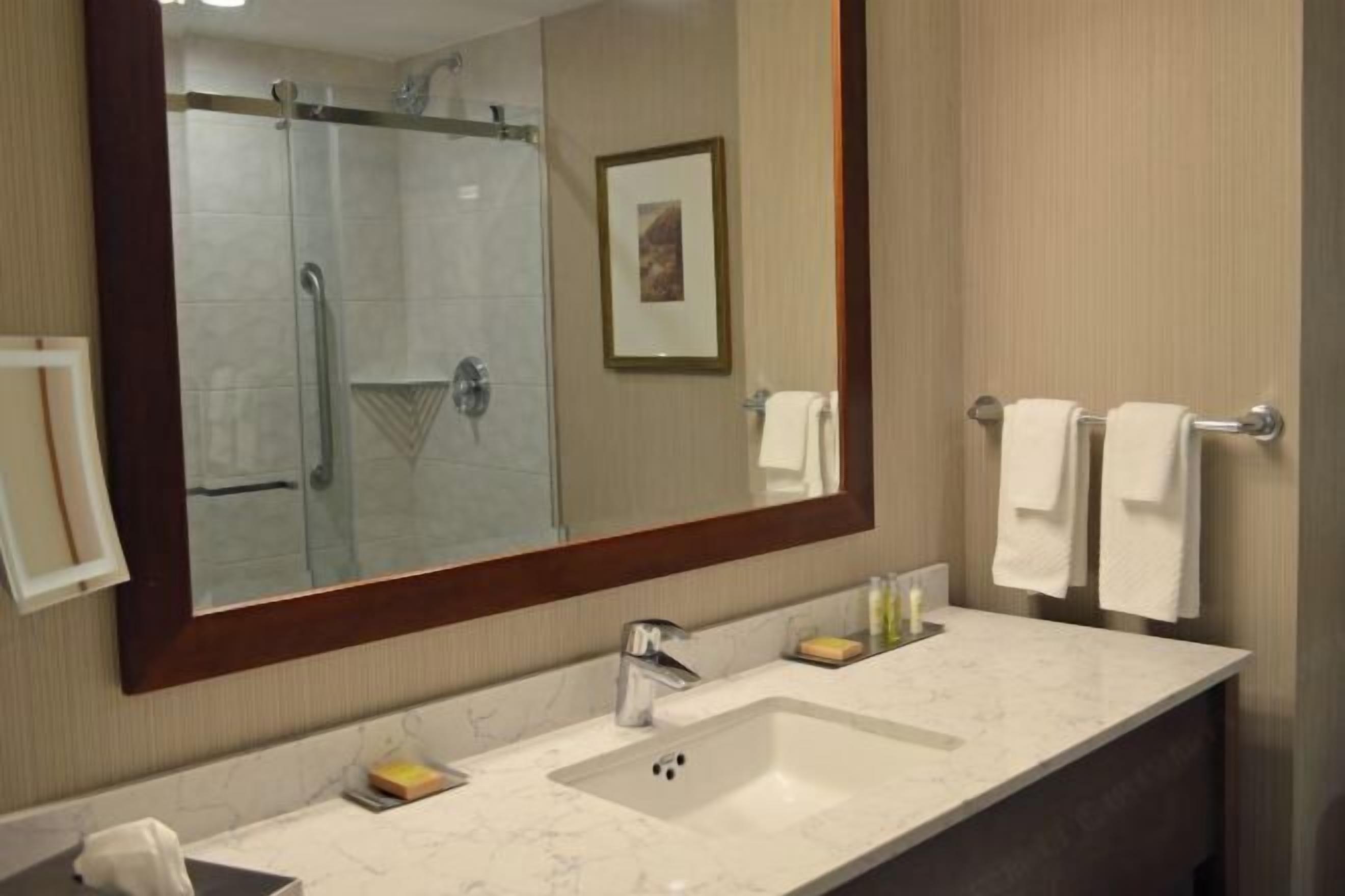 Hair dryer, towels, soap, shampoo