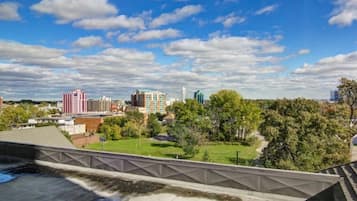 A cityscape with a Ferris wheel, a large building with a green roof, and a bridge with a geometric design.