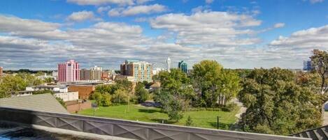 A cityscape with a Ferris wheel, a large building with a green roof, and a bridge with a geometric design.