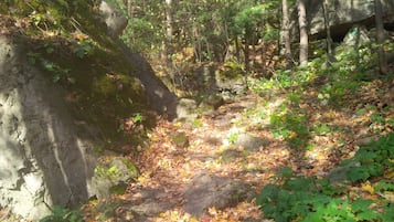 Hiking