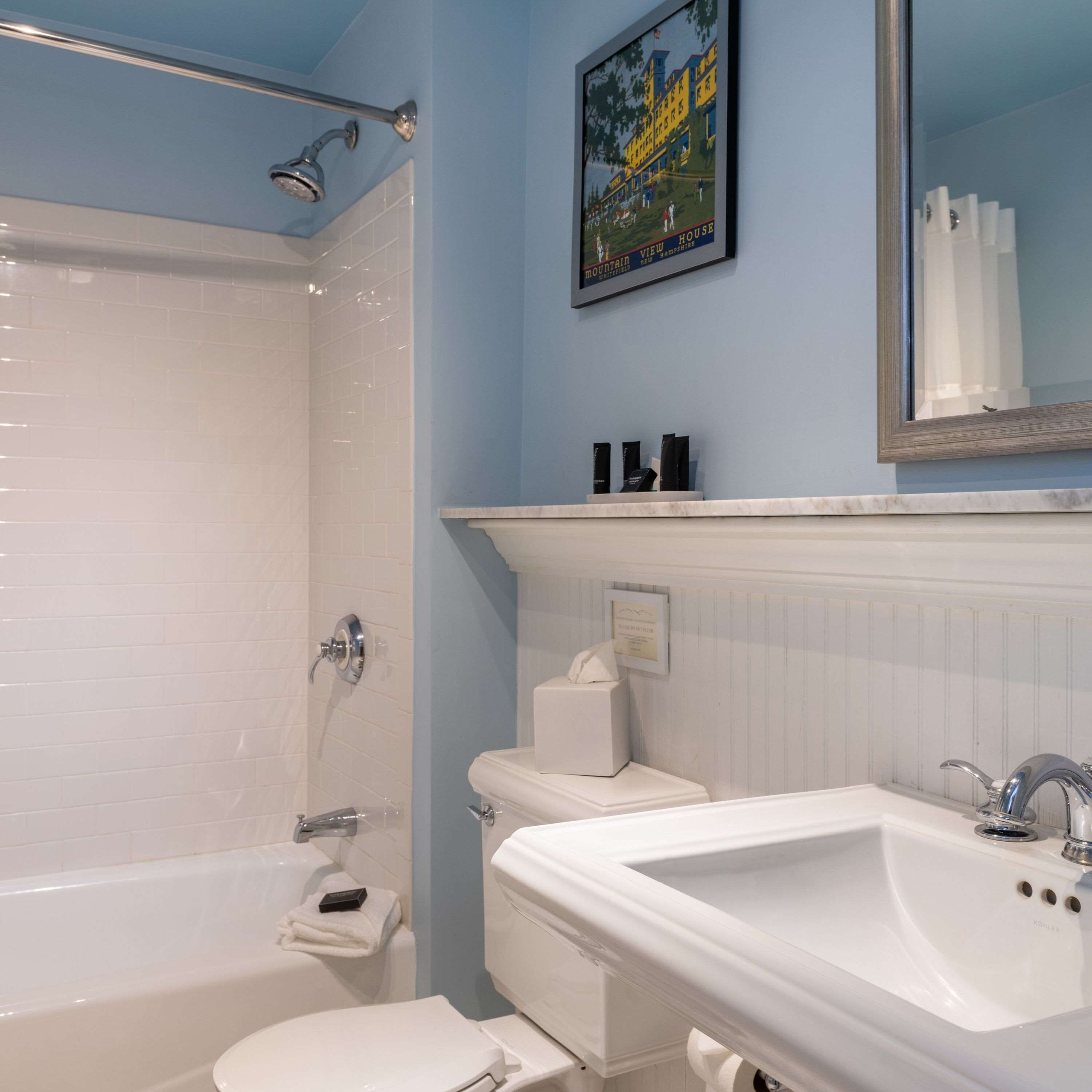 classic room, 1 king bed | bathroom | combined shower/bathtub, free toiletries, hair dryer, bathrobes