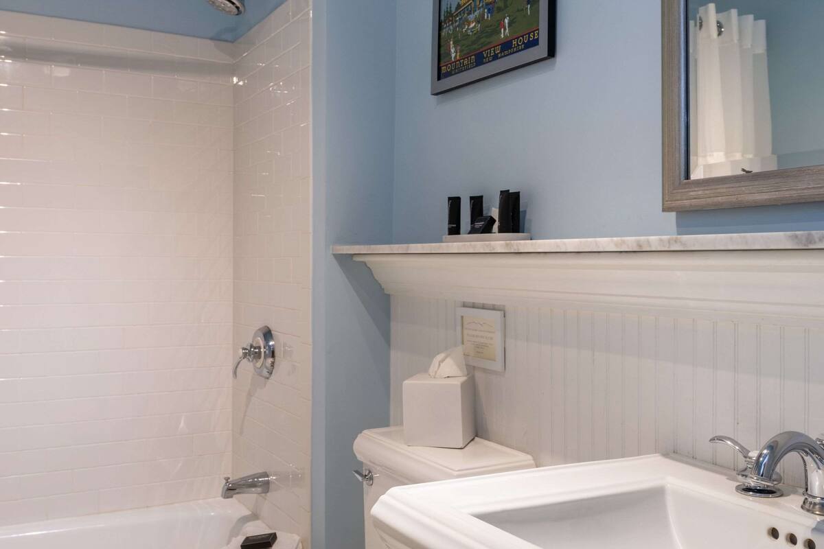 classic room, 1 king bed | bathroom | combined shower/bathtub, free toiletries, hair dryer, bathrobes