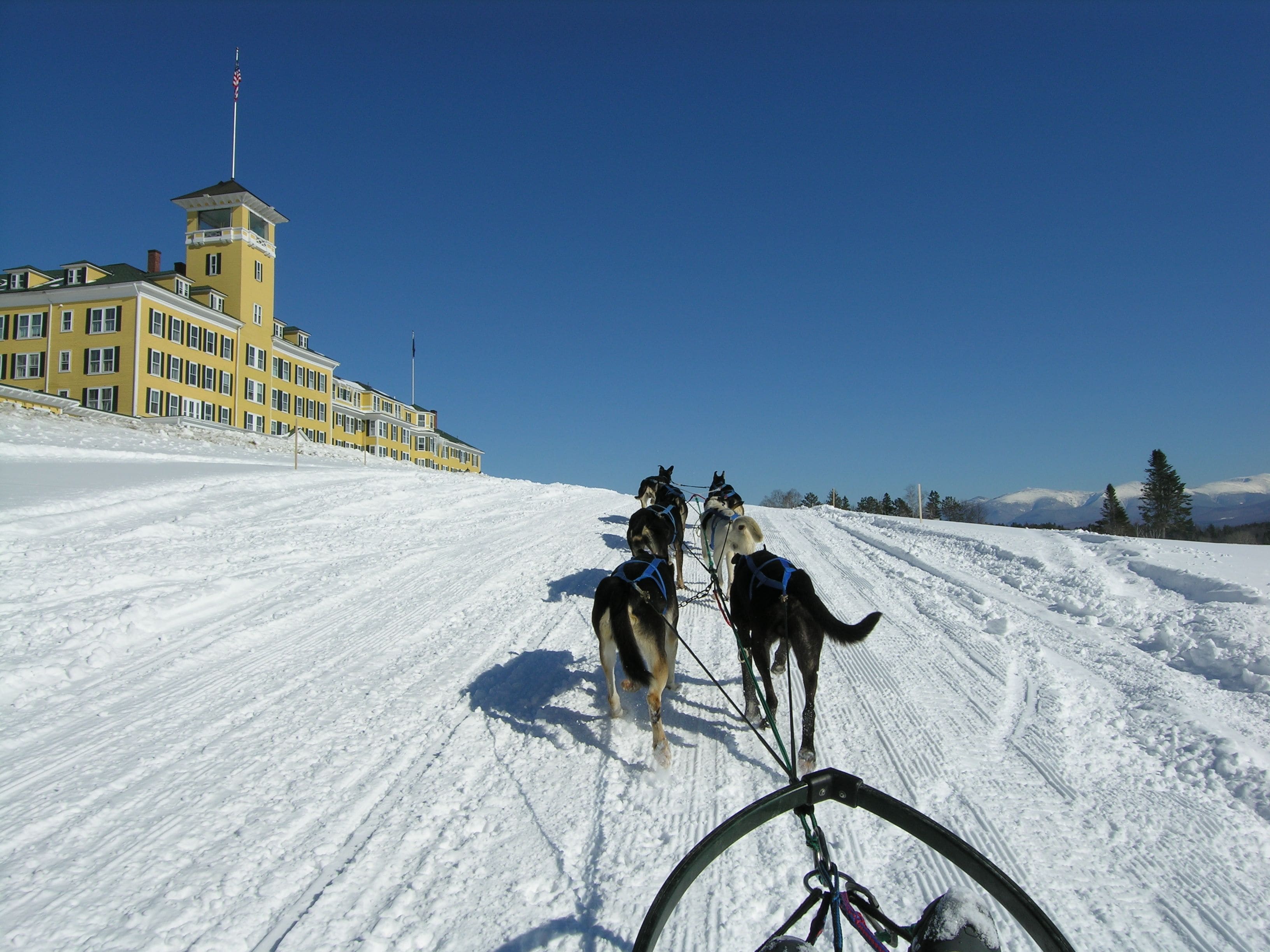 A snow-covered landscape with a building featuring a tower and flag, and a sled pulled by dogs.