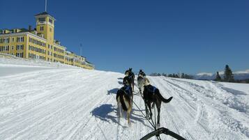 A snow-covered landscape with a building featuring a tower and flag, and a sled pulled by dogs.