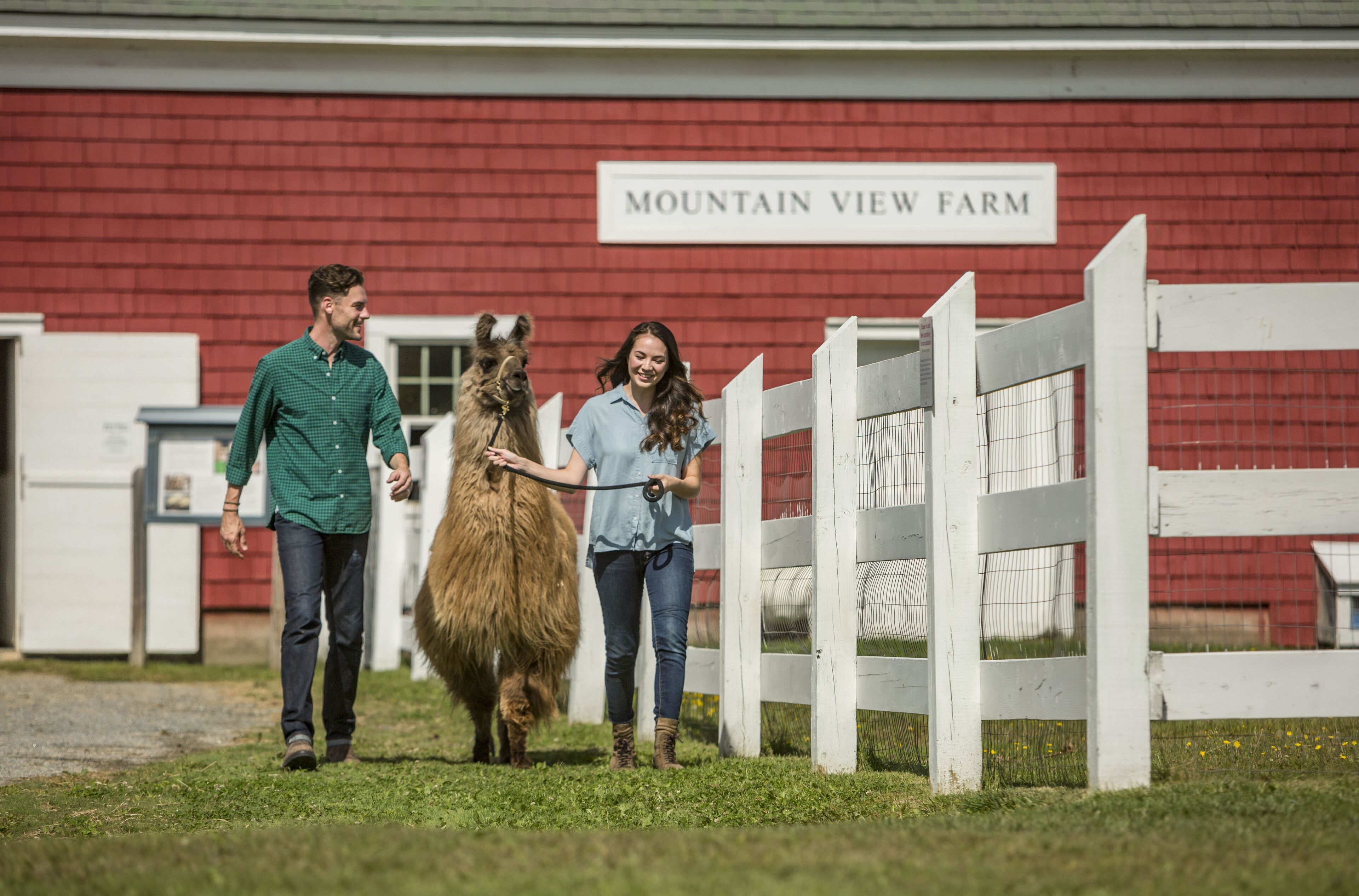 Een rode schuur met een bord waarop staat: 'Mountain View Farm'.