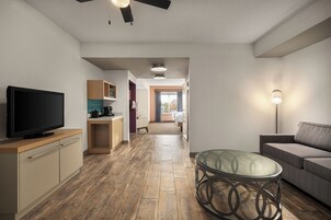 55-英寸纯平电视（配备卫星频道）