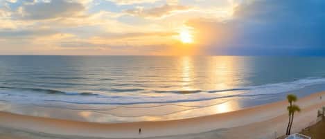 Studio, balcon, en front de mer | Terrasse/Patio