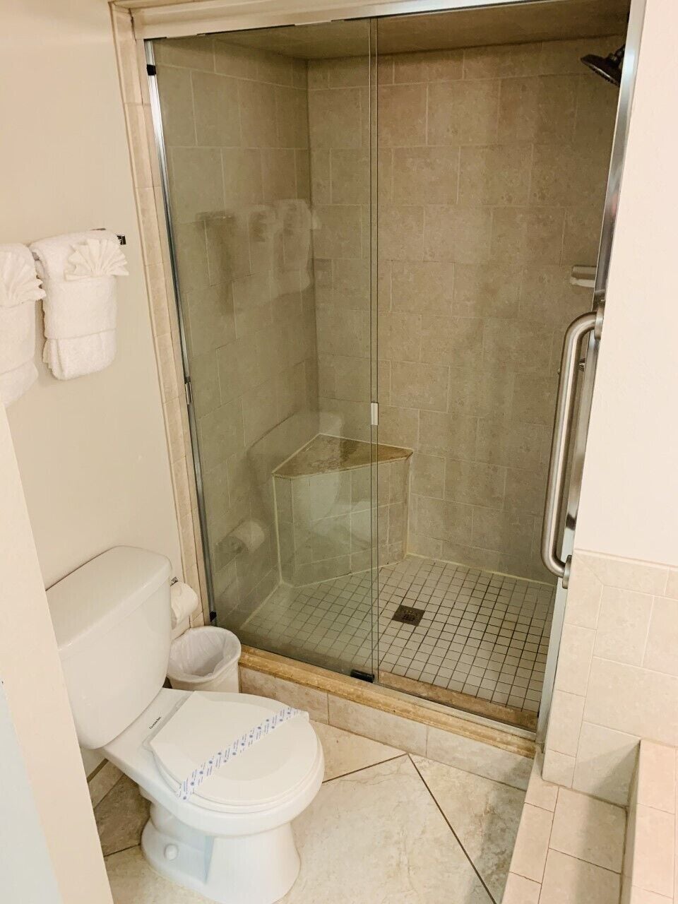 Une salle de bain avec une douche à parois de verre, des toilettes et un porte-serviettes.