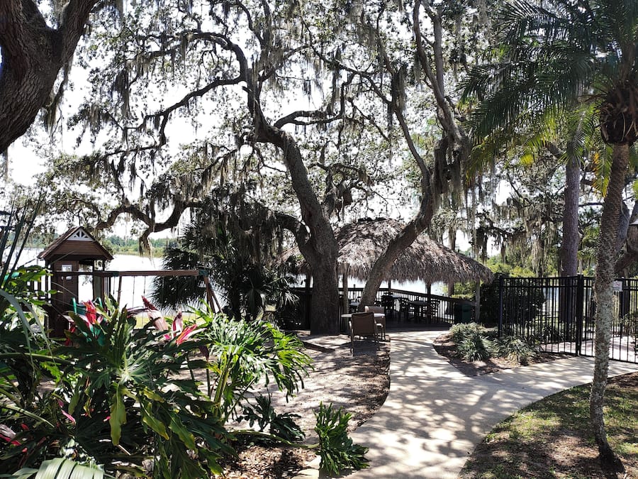 Lake view