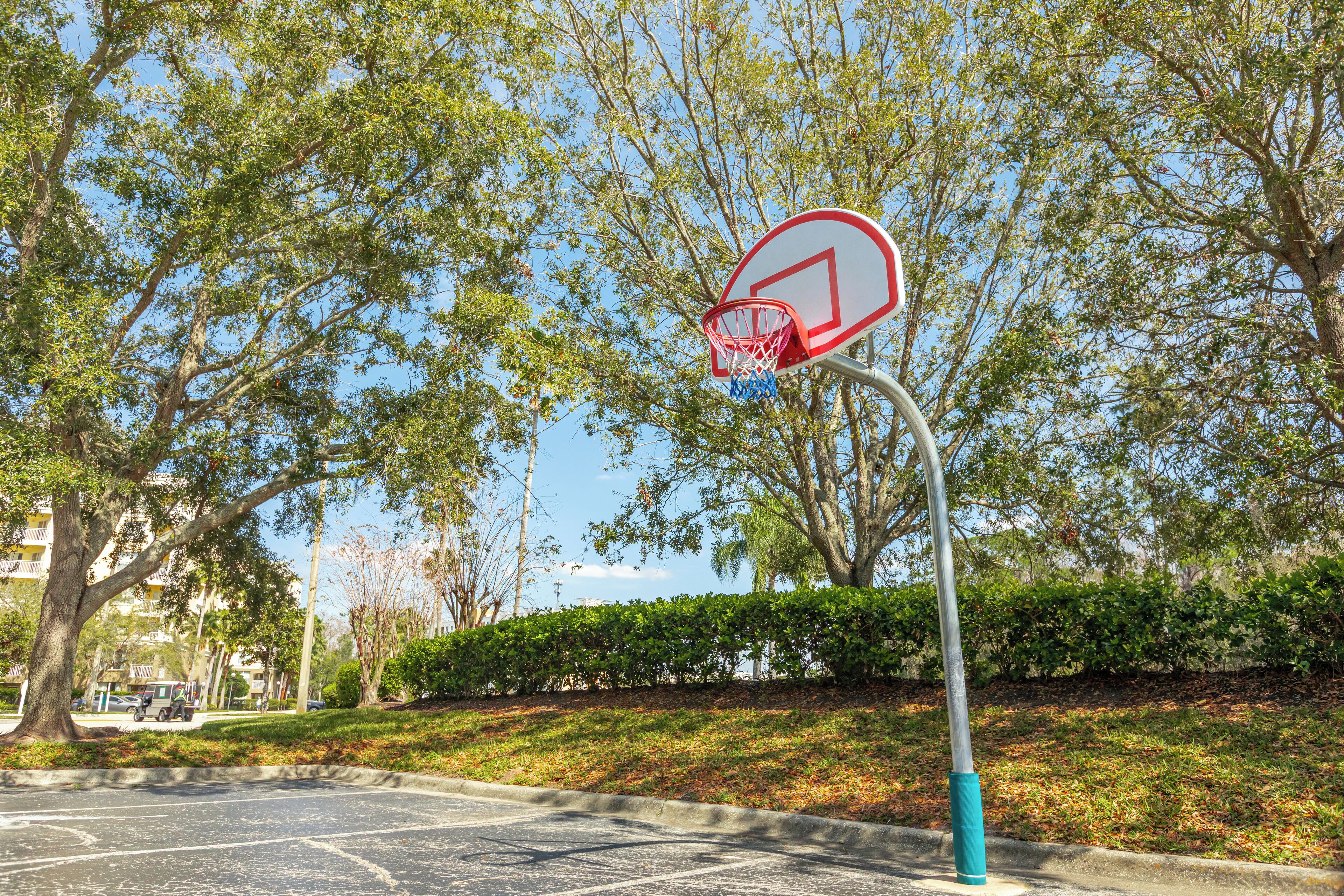 Basketball court