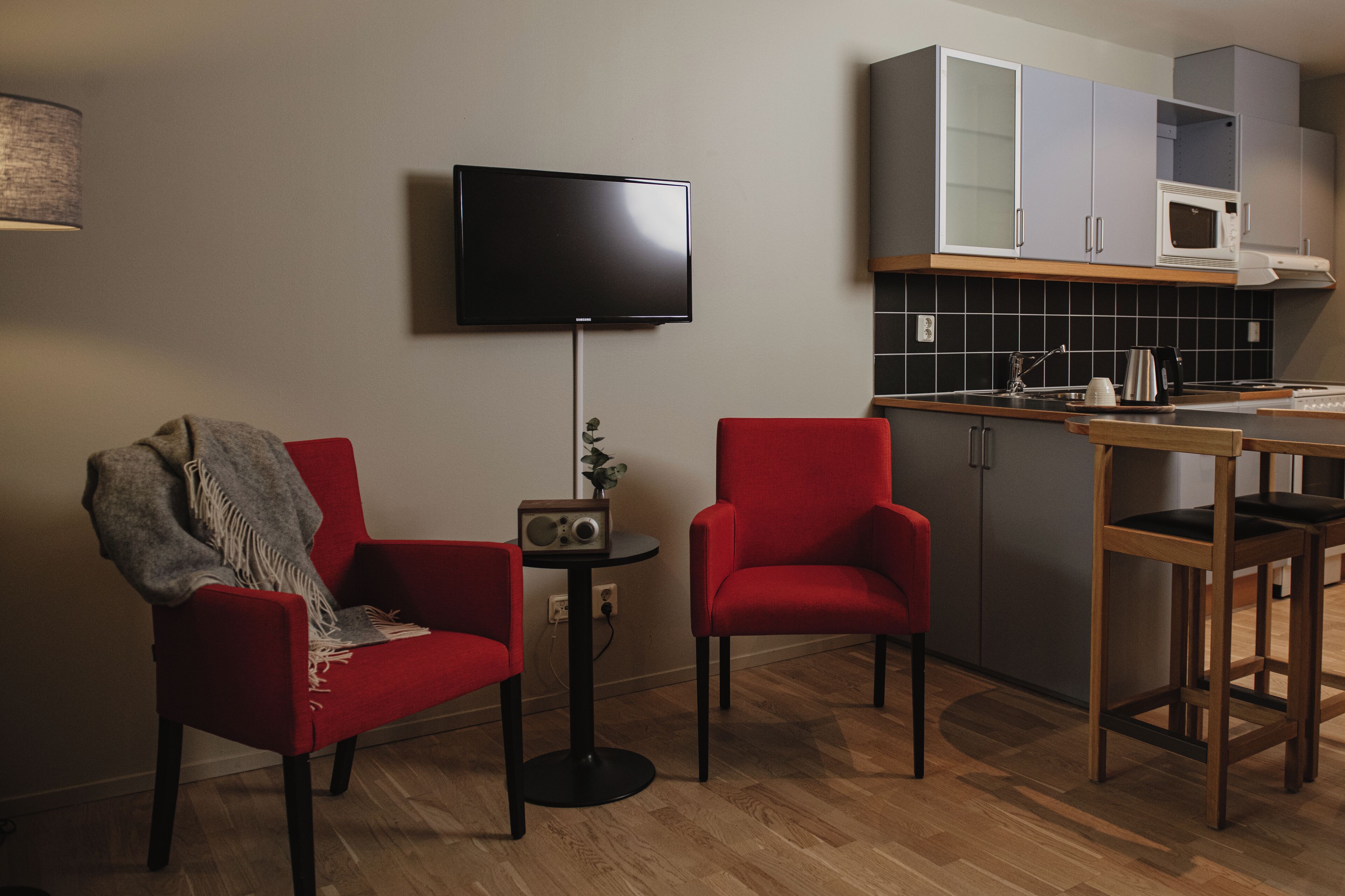 studio (small, apartment) | desk, blackout curtains, iron/ironing board, bed sheets