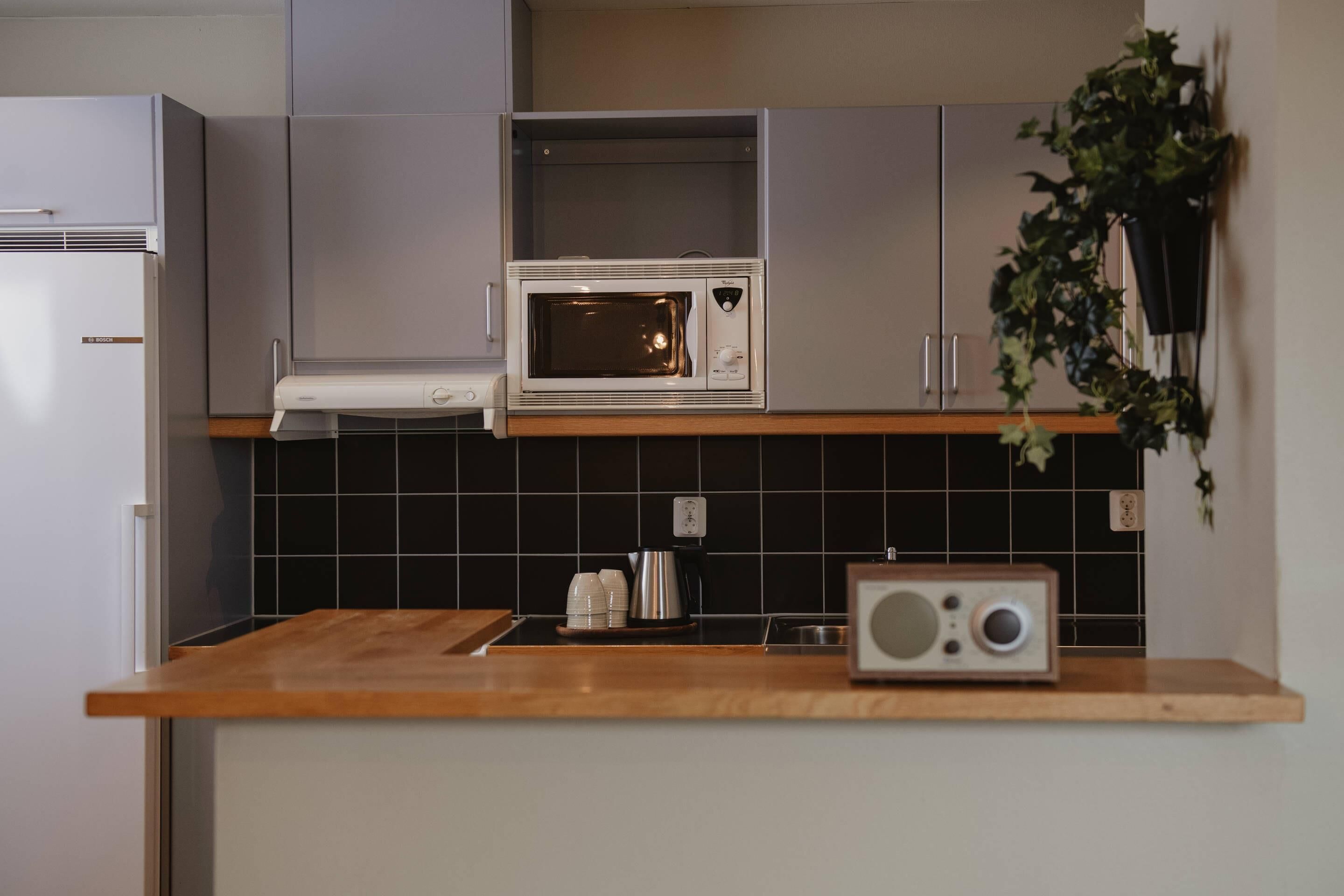 Cozinha com micro-ondas, rádio e uma planta.