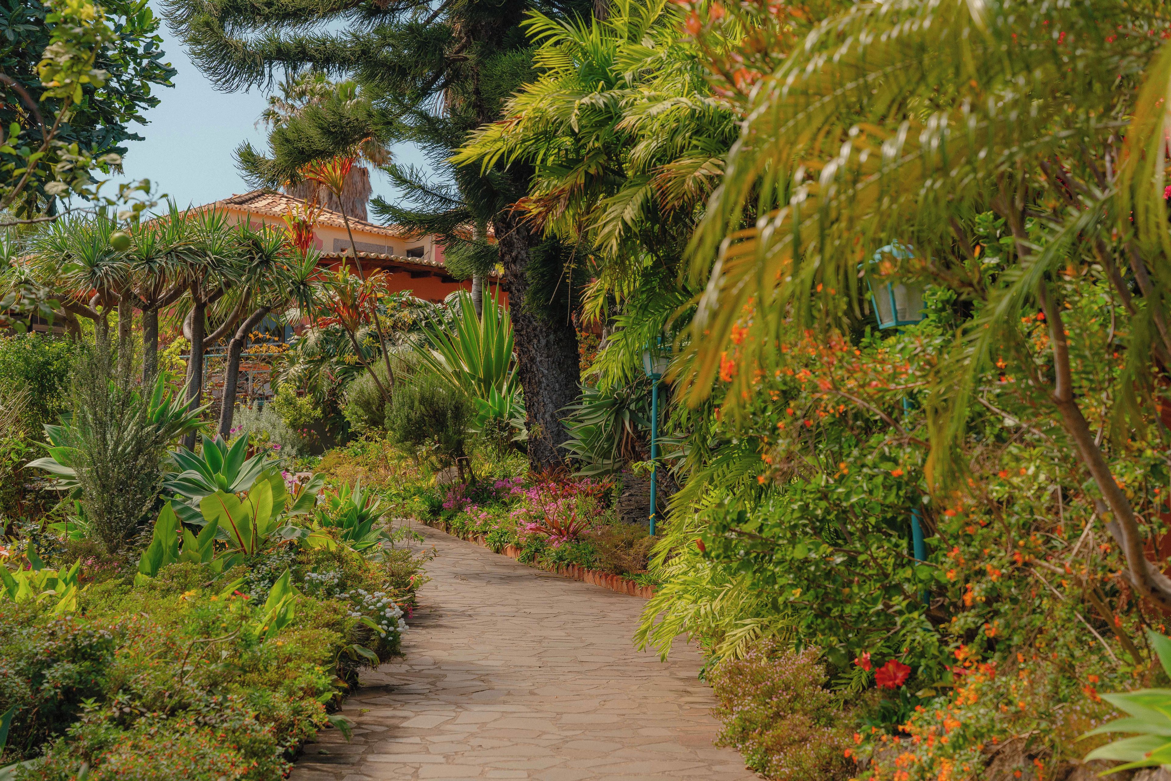 A stone pathway leading through a lush garden with various plants and trees.