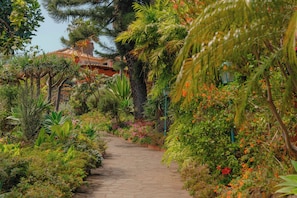 A stone pathway leading through a lush garden with various plants and trees.