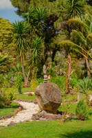 A garden with a large rock centerpiece, surrounded by various plants and trees.