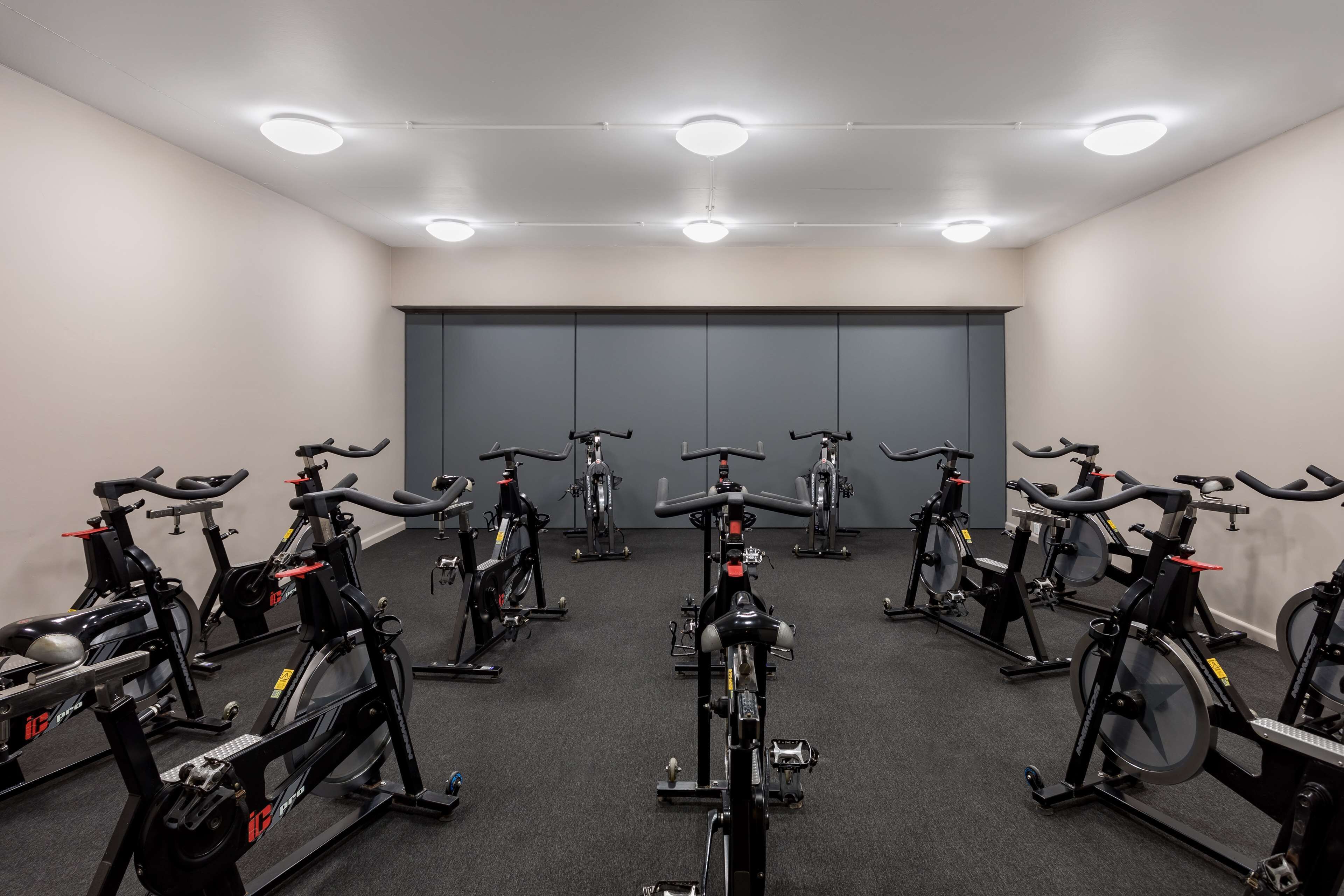 A gym with multiple stationary bikes arranged in rows, ceiling lights, and a grey wall with a door.