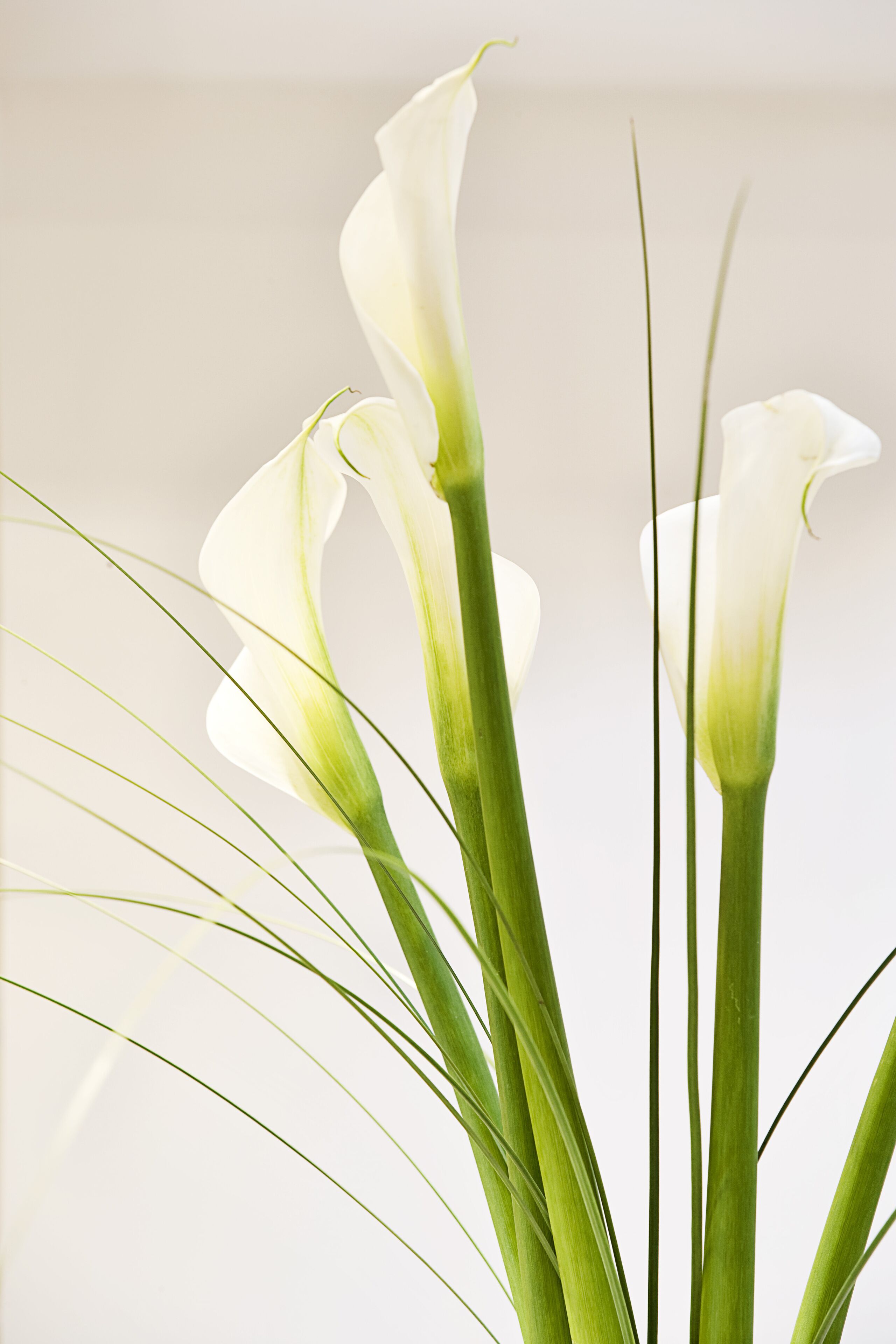 Photo - Arion Athens Hotel