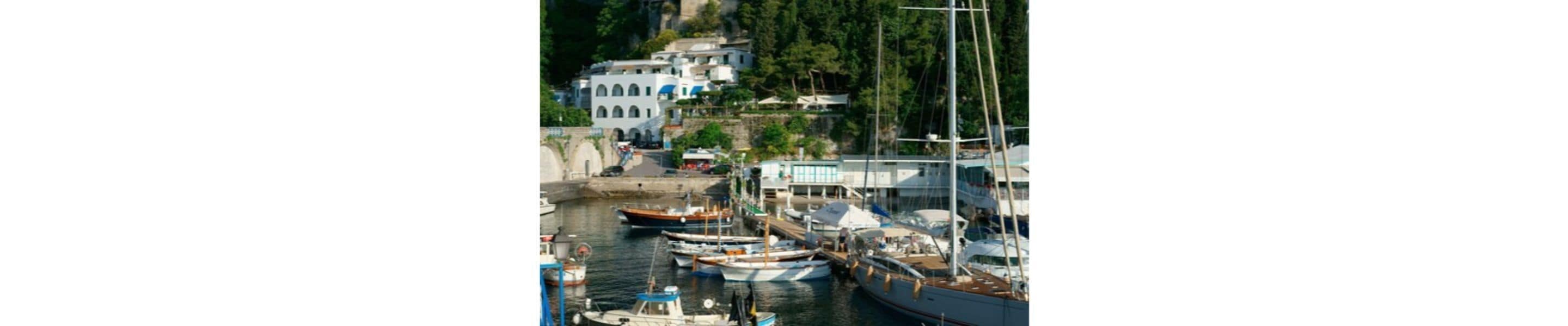 Un puerto deportivo con varias embarcaciones amarradas, rodeado de edificios y vegetación.