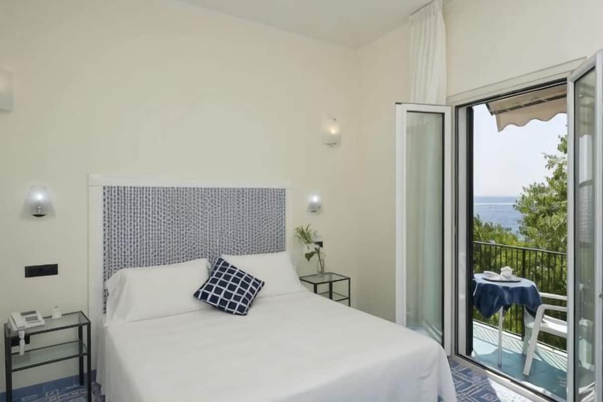 Minibar, in-room safe, desk, WiFi (free)