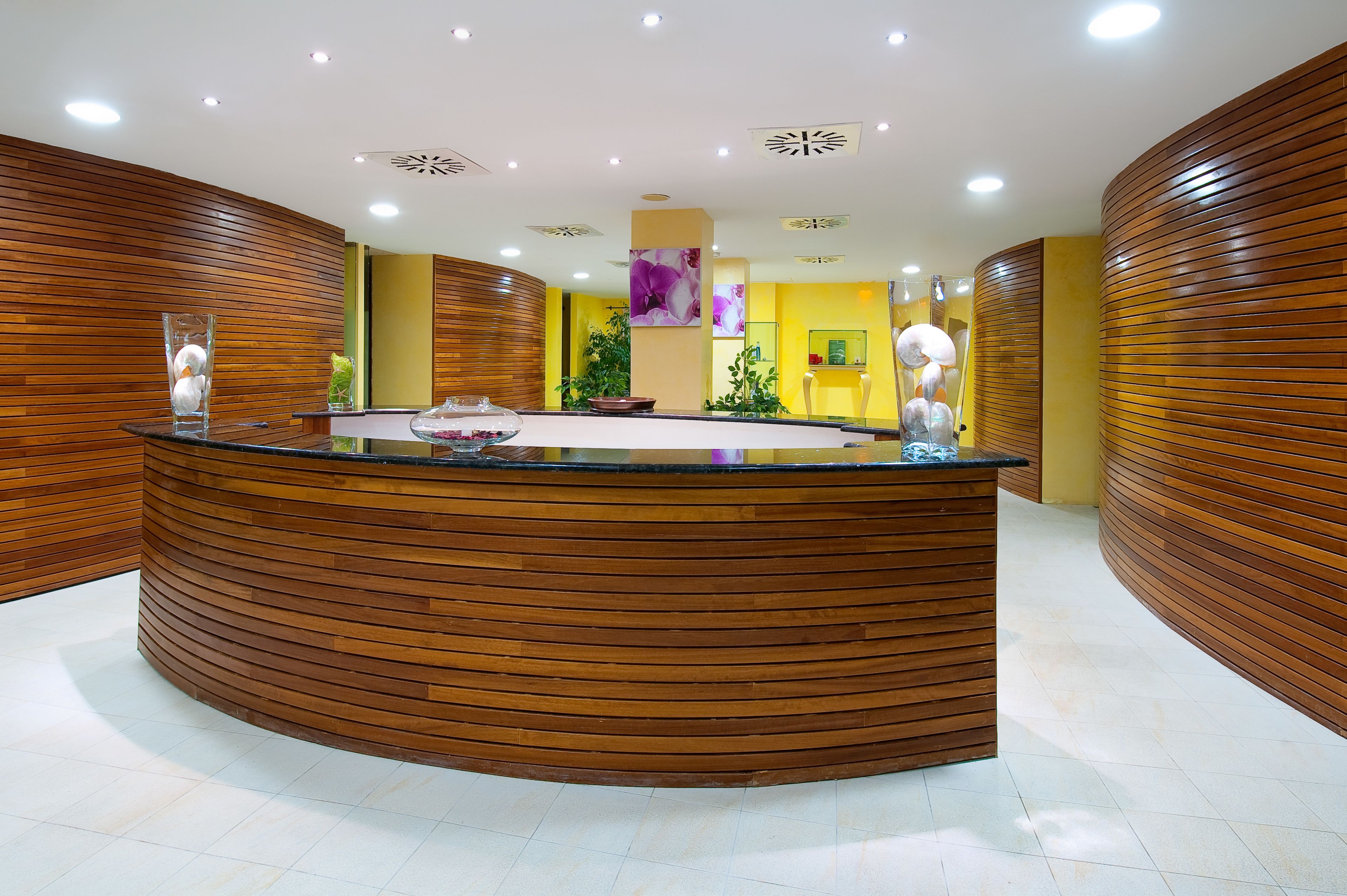 A reception area with a curved wooden reception desk, a central plant, and a wall-mounted mirror.