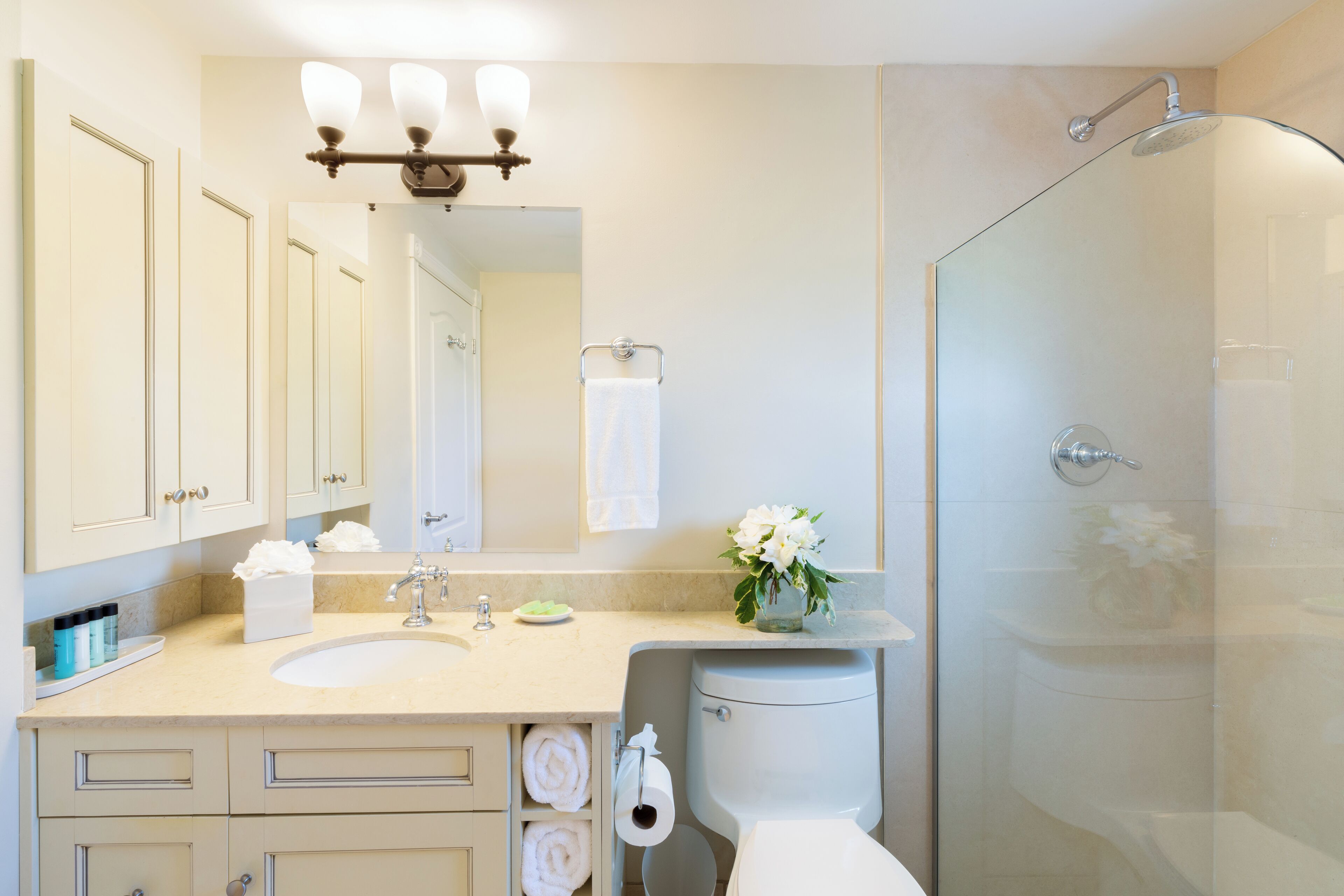 combined shower/bathtub, free toiletries, hair dryer, towels