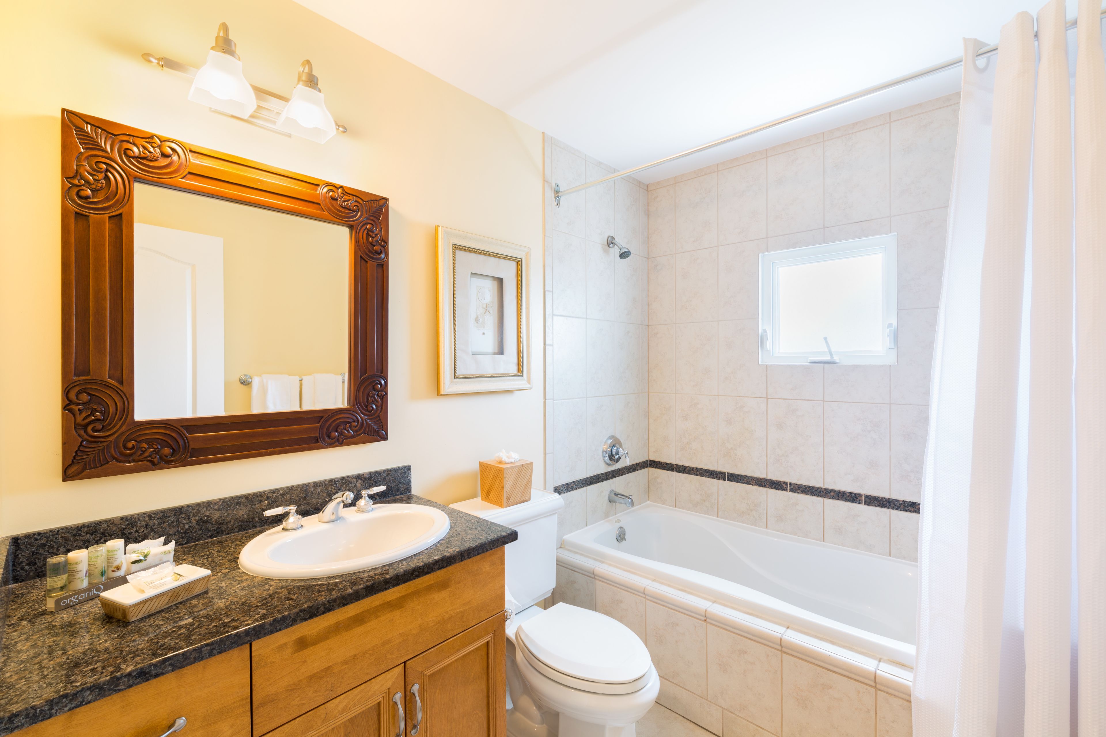 combined shower/bathtub, free toiletries, hair dryer, towels