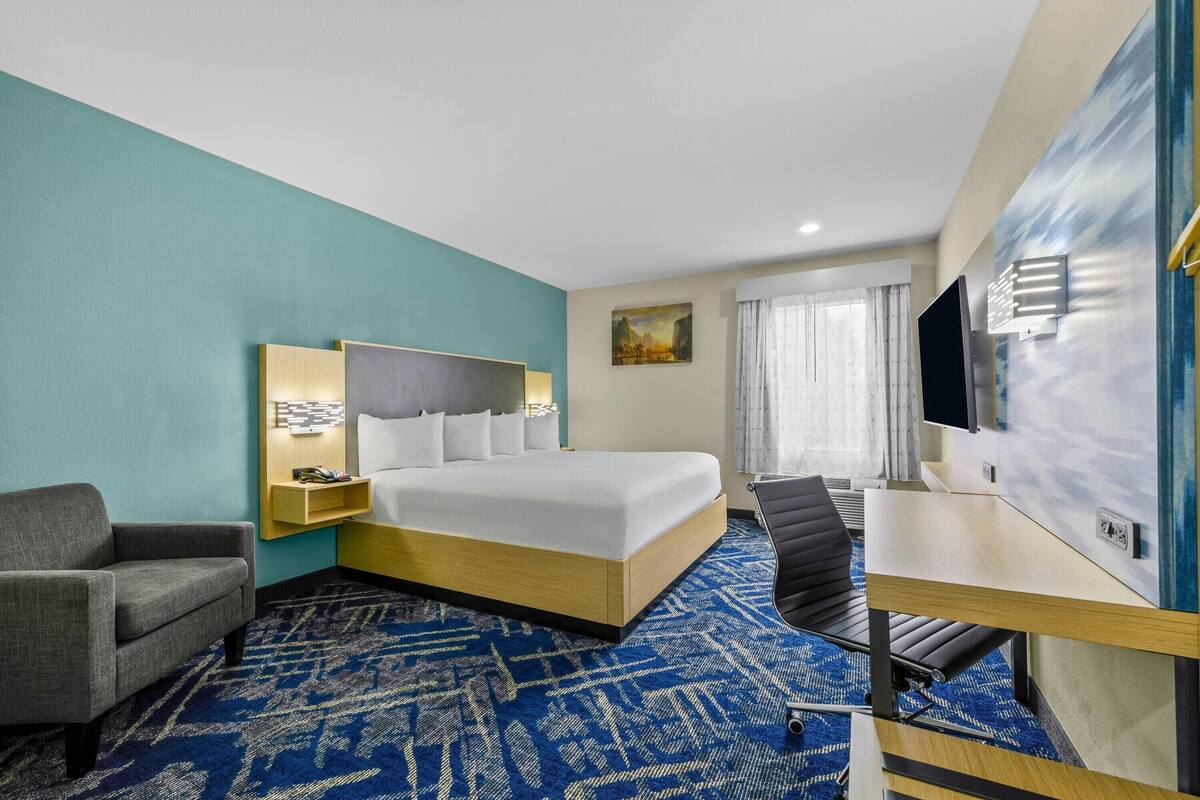Room, 1 King Bed, Non Smoking | Premium bedding, down comforters, desk, blackout drapes