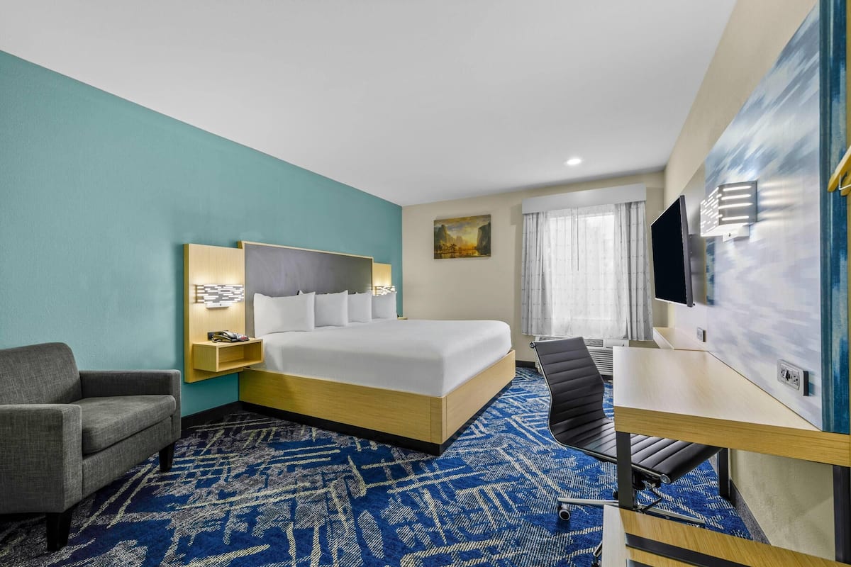 Room, 1 King Bed, Non Smoking | Premium bedding, down comforters, desk, blackout drapes