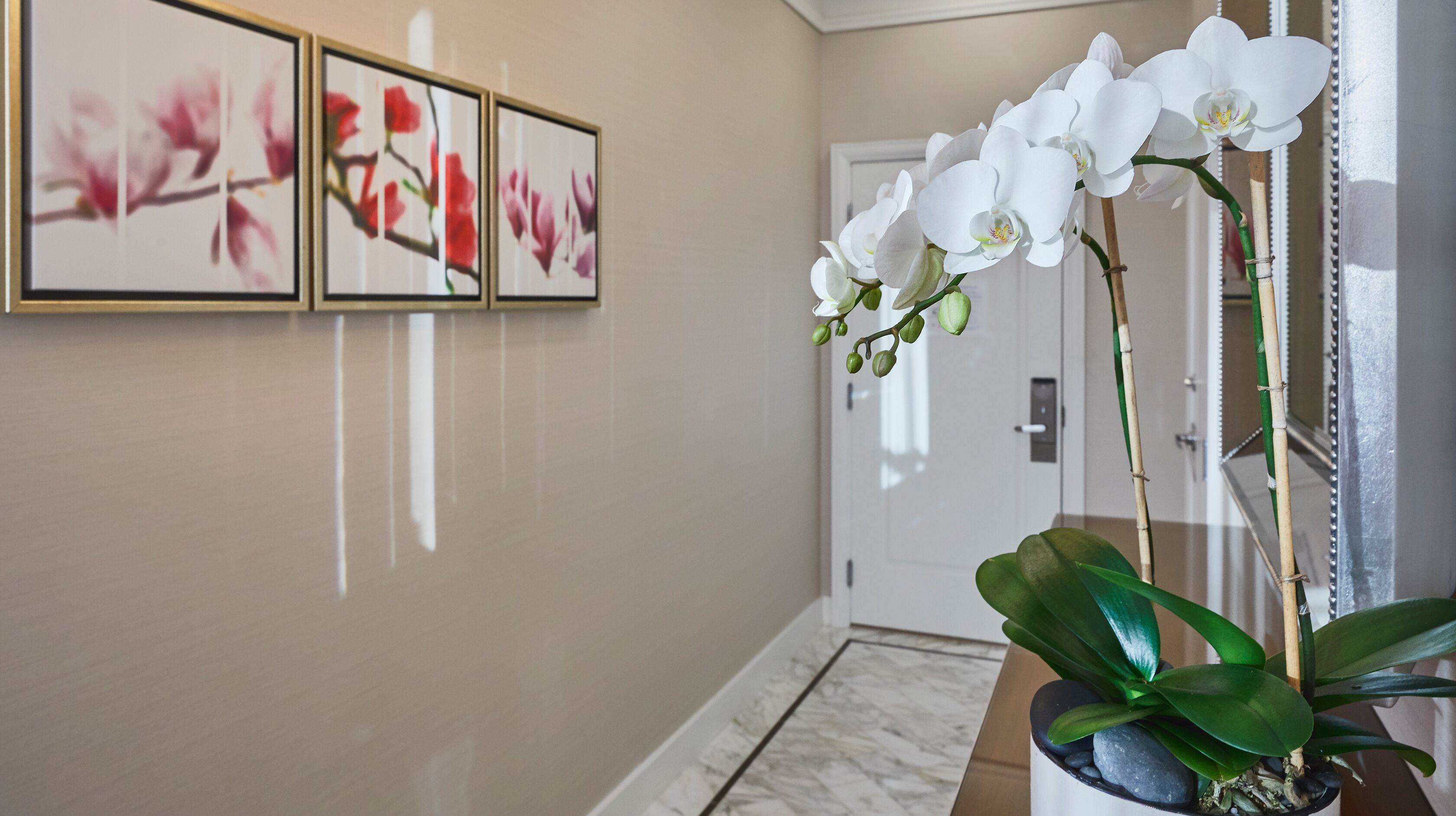 1 bedroom, egyptian cotton sheets, premium bedding, down duvets