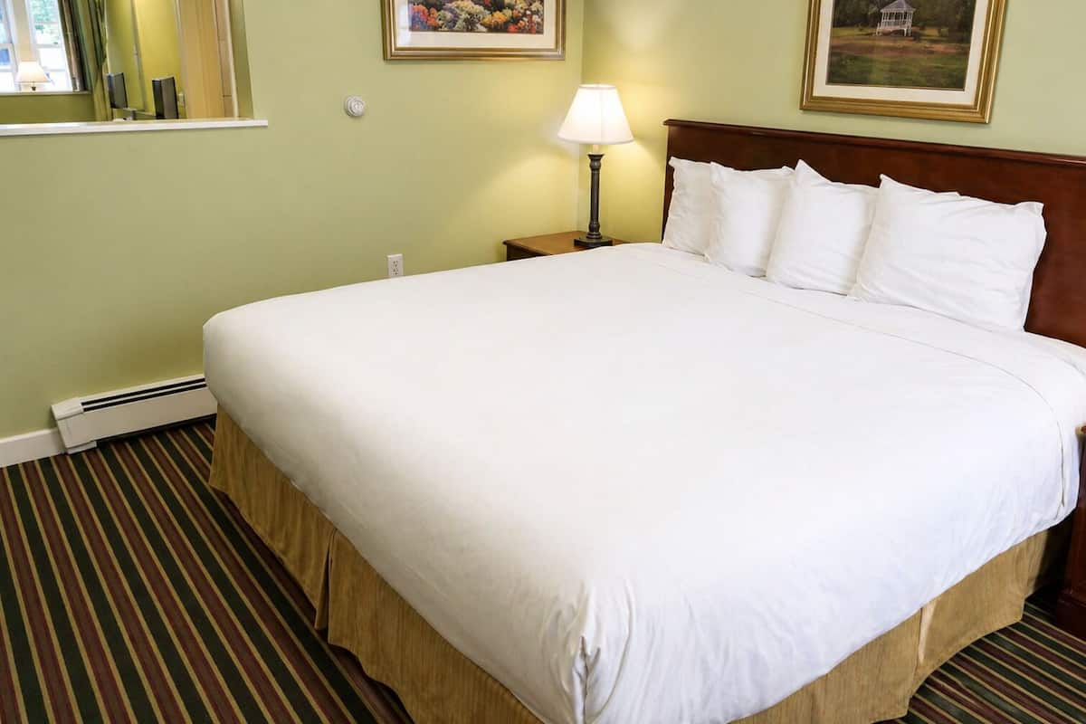 Quarto de hotel com uma cama grande, mesa de cabeceira, luminária e janela.