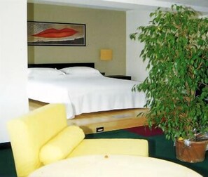 Minibar, in-room safe, individually furnished, desk - Al Gabbiano (Ponte di Piave)