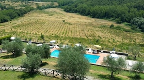 Suite, Hill View | View from room