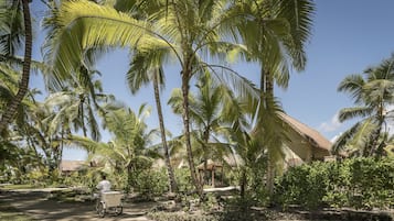 Vista da propriedade