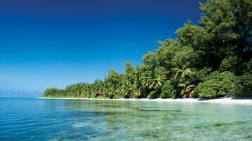 Trên bãi biển, cát trắng, ghế dài tắm nắng, dù trên bãi biển