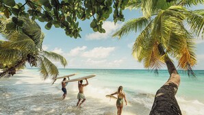 A beach scene with palm trees and ocean waves.