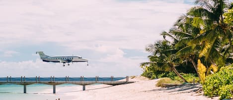 A beach with a jet bridge extending from a building, palm trees, and a clear sky.