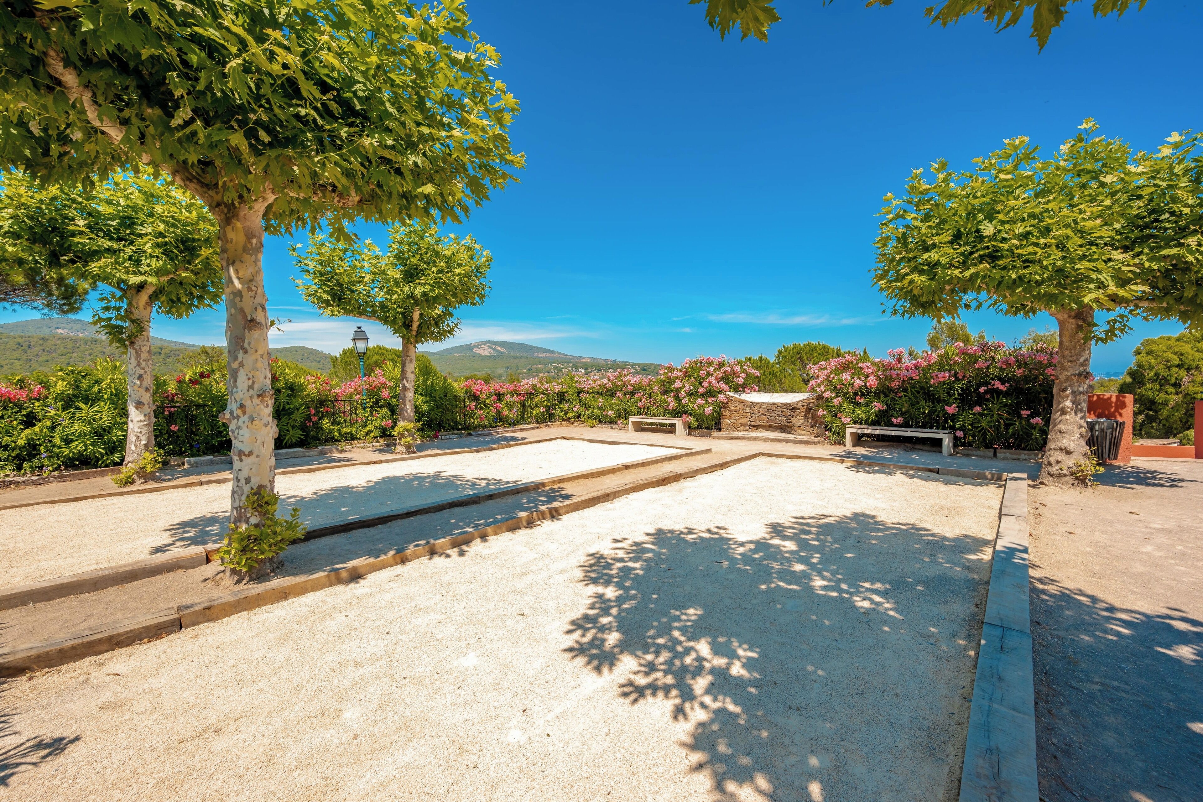 A courtyard with a pool, surrounded by trees and flowering plants, with a bench and lamp post.