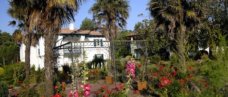 Tuin